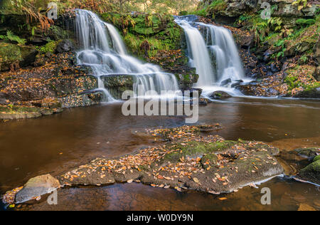 Thomason Foss chute près de Beck trou sur le North York Moors Banque D'Images