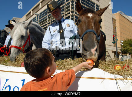 Ben Stern, 2, d'Arlington, Virginie, aux États-Unis, un Stonewall flux Park Police cheval, à l'occasion d'un buffet de pommes de terre, carottes et de foin que Jeff Giebel se distingue par près du Verizon Center à Washington le 10 octobre 2007. La Washington International Horse Show a fait don du déjeuner et près de 15 000 $ de la chaux sable, un mélange gazon spécialité bon pour les chevaux, au Parc de la police. (Photo d'UPI/Roger L. Wollenberg) Banque D'Images