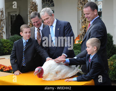 Le Président George Bush (C) la réhabilitation de l'action nationale de la Turquie, de la citrouille, comme il est rejoint par Paul Hill (L) et Nathan Hill (R) de la Fédération nationale de la Turquie et des membres de leur famille qui ont contribué à faire de la colline de citrouille, le jardin de roses à la la Maison Blanche à Washington le 26 novembre 2008. Pumpkin flotteront à Disneyland plus tard aujourd'hui, où il sera un grand maréchal honoraire dans le Disneyland Thanksgiving Day Parade. (UPI Photo/Kevin Dietsch) Banque D'Images