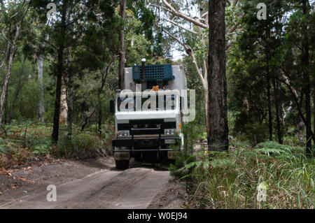 Un grand camion de livraison d'aliments surgelés conçu pour des pistes, fait son chemin à travers la forêt tropicale le long d'une piste de sable sur l'île Fraser au large de la côte Banque D'Images