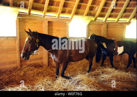 Démontrer la séparation des chevaux le grain de l'ivraie en recto verso 16 Grange à George Washington's Mount Vernon Estate and Gardens le 3 septembre 2009, à Mount Vernon, en Virginie. UPI/Roger L. Wollenberg Banque D'Images