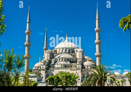 La Turquie, Istanbul, mosquée bleue, les dômes et les minarets (1616 par Mehmet Aga, élève de Sinan) (UNESCO World Heritage) Banque D'Images La Turquie, Istanbul, mosquée bleue, les dômes et les minarets (1616 par Mehmet Aga, élève de Sinan) (UNESCO World Heritage) Banque D'Images