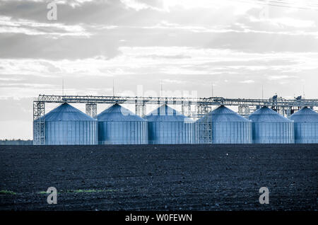 Les silos de séchage de céréales, blé, maïs, soja, tournesol. Banque D'Images