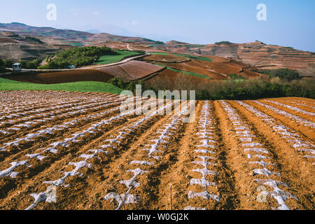 Terre rouge de Dongchuan, Province du Yunnan Banque D'Images