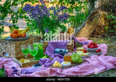 Pique-nique confortable avec des fruits et légumes en forêt près de la rivière rose vif couleurs vert Banque D'Images