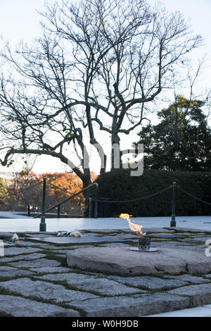 Fleurs était tombée près de la flamme éternelle et la tombe du Président John Fitzgerald Kennedy au cimetière national d'Arlington à Arlington, en Virginie, le 18 novembre 2013. Kennedy a été le 35e président des États-Unis et 22 novembre marquera le 50e anniversaire de son assassinat à Dallas, au Texas. UPI/Pat Benic Banque D'Images