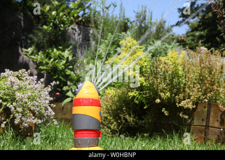 La tête sprinkleur Hozelock vaporise de l'eau sur des herbes et une pelouse le jour de l'été dans un jardin britannique avec des plantes en arrière-plan Banque D'Images