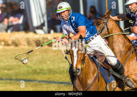 Polocrosse sport équestre poney cheval-cavalier joueurs libre de jeu rapide à l'action. Banque D'Images