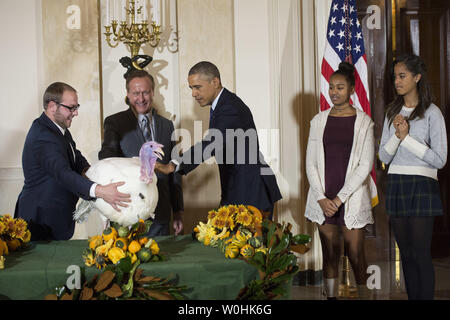 Le président Barack Obama (au centre), le fromage de réhabilitation nationale 2014 Dinde de Thanksgiving, en tant que président de la Fédération Nationale de Turquie Gary Cooper (2e-L) et son fils Cole le restreindre, lors d'une cérémonie à la Maison Blanche le 26 novembre 2014 à Washington, D.C., fromage et d'une autre Turquie nommé Mac, sera exposée pour visiteurs à leur domicile permanent à Morven Park's "Turkey Hill," La France agricole historique situé à l'accueil de l'ancien gouverneur de Virginie Westmoreland Davis à Leesburg, en Virginie. Obama a été rejoint par ses filles Sasha et Malia. UPI/Kevin Dietsch Banque D'Images