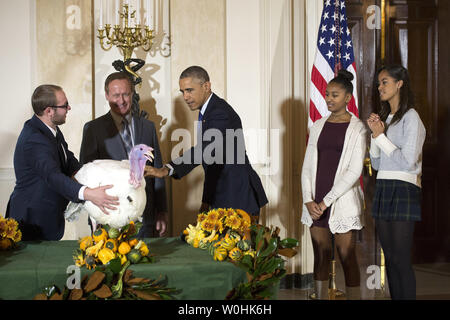 Le président Barack Obama (au centre), le fromage de réhabilitation nationale 2014 Dinde de Thanksgiving, en tant que président de la Fédération Nationale de Turquie Gary Cooper (2e-L) et son fils Cole le restreindre, lors d'une cérémonie à la Maison Blanche le 26 novembre 2014 à Washington, D.C., fromage et d'une autre Turquie nommé Mac, sera exposée pour visiteurs à leur domicile permanent à Morven Park's "Turkey Hill," La France agricole historique situé à l'accueil de l'ancien gouverneur de Virginie Westmoreland Davis à Leesburg, en Virginie. Obama a été rejoint par ses filles Sasha et Malia. UPI/Kevin Dietsch Banque D'Images