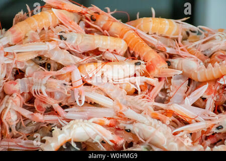 Groupe de la baie de Dublin, scampi, crevettes ou de langoustine sur la table pour la vente dans un marché de poisson de Bari, Italie Banque D'Images