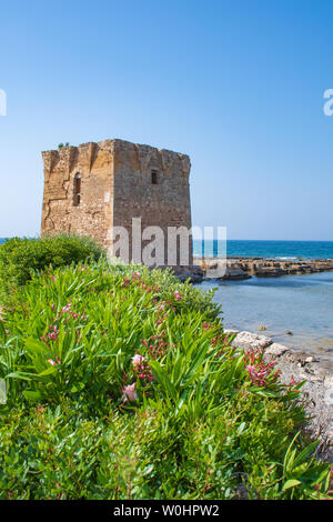 Tour Baroque, belle vieille tour à San Vito, Polignano a Mare, Bari, Pouilles, Italie avec avec la mer bleu, mur en pierre et de fleurs, Méditerranéenne Banque D'Images