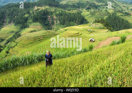 Yen Bai, Vietnam : Sep 07 2017 : grand-mère petit-fils de la tribu a effectué sur le riz en terrasses terrain à Mu Cang Chai Banque D'Images