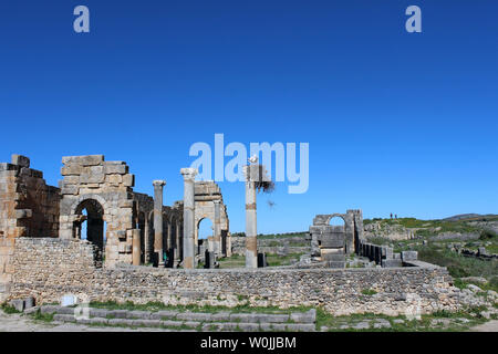 Volubilis a été une ville romaine, les ruines de qui sont actuellement partiellement fouillé un site archéologique, situé sur le Maroc. Banque D'Images