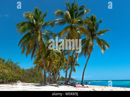 Playa Coco de Playa Giron une très belle plage de sable blanc avec une mer turquoise et des palmiers se balançant dans la province de Pinar del Rio, Cuba, Caraïbes Banque D'Images