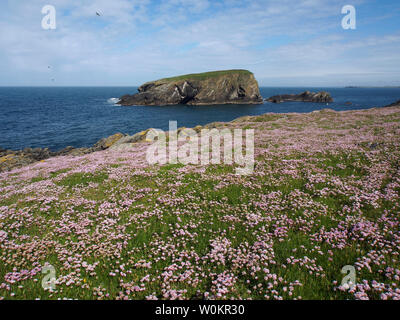 Hich Holm de St Ninian's Isle, Shetland, Écosse Banque D'Images