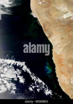 Feu vert et bleu les eaux au large de la Namibie au début de novembre 2007 comme une prolifération du phytoplancton a grandi et a disparu dans l'océan Atlantique. La floraison s'étend du nord au sud le long des centaines de kilomètres, même si elle est plus lumineuse dans le centre de cette image. Ces algues sont communes dans les eaux côtières au large du sud-ouest de l'Afrique où le froid, les courants riches en éléments nutritifs du balayage de l'Antarctique et interagir avec la plate-forme côtière. (Photo d'UPI/NASA) Banque D'Images