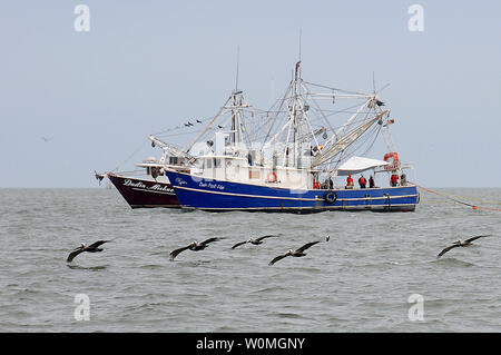 Bateaux de crevettes résistantes au feu de remorquage de confinement à l'huile que leurs équipes de formation in situ graver au large de Venice, en Louisiane, le 3 mai 2010. La formation est conçue pour aider le pêcheur local pour aider à préparer d'éventuelles opérations de combustion in situ. UPI/Patrick Kelley/U.S. Garde côtière canadienne Banque D'Images