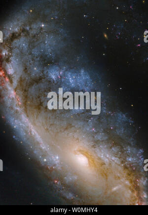 Ce gros plan de la vue de Hubble Galaxie Meathook (NGC 2442), publié le 4 mai 2011, l'accent sur le plus compact de ses deux bras en spirale asymétrique ainsi que les régions centrales. Les bras en spirale a été l'emplacement d'une supernova qui a explosé en 1999. Ces observations de Hubble ont été effectués en 2006 afin d'étudier les conséquences de cette supernova. Des données recueillies au sol de MPG/ESO de 2,2 mètres ont été utilisés pour remplir les parties de la périphérie de cette image. .UPI/NASA/ESA