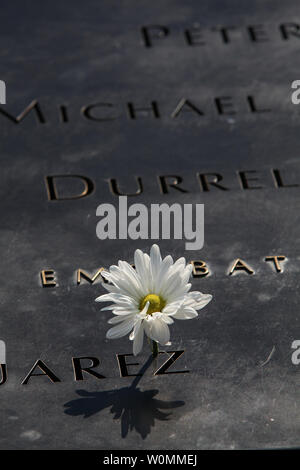 Les noms de fleurs placé au-dessus de la tour sud au monument au mémorial du 11 septembre à l'occasion des cérémonies marquant le 12e anniversaire des attaques du 11 septembre sur le World Trade Center à New York, le 11 septembre 2013. UPI/Chris Pedota / Piscine Banque D'Images