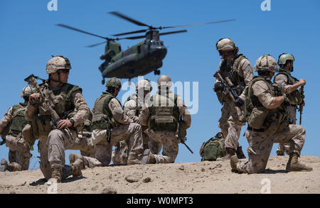 Tireurs d'élite canadiens, les pionniers et les membres de reconnaissance, du 2e Bataillon du Royal 22e Régiment, effectuer l'insertion et l'extraction par Helicopter Training avec un hélicoptère CH-147F Chinook au cours de Rim of the Pacific 2016 Le Camp Pendleton à San Diego, Californie, le 15 juillet 2016. Photo par Marc-André Gaudreault/UPI/Forces armées canadiennes Banque D'Images