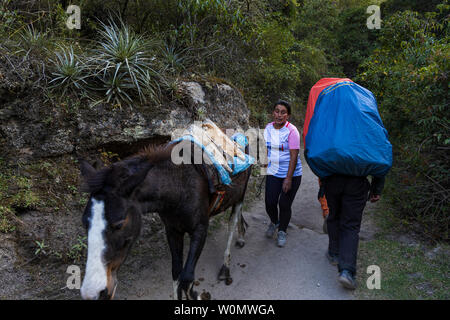 Porteurs transportant de lourdes charges sur le sentier des Incas, jour 1, KM82 à Huayllabamba, Pérou, Amérique du Sud Banque D'Images