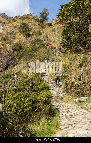 Sentier des Incas, jour 2, plus de Huayllabamba, Ara, Huarmihuanusca womans morts passent, à Pacay Alto Mayo, le Pérou, Amérique du Sud, Banque D'Images