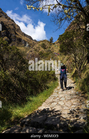 Sentier des Incas, jour 2, plus de Huayllabamba, Ara, Huarmihuanusca womans morts passent, à Pacay Alto Mayo, le Pérou, Amérique du Sud, Banque D'Images