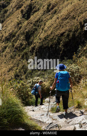 Sentier des Incas, jour 2, plus de Huayllabamba, Ara, Huarmihuanusca womans morts passent, à Pacay Alto Mayo, le Pérou, Amérique du Sud, Banque D'Images