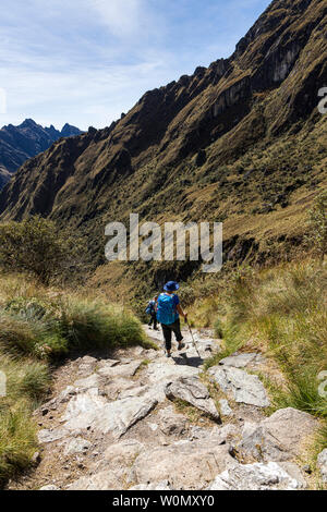 Sentier des Incas, jour 2, plus de Huayllabamba, Ara, Huarmihuanusca womans morts passent, à Pacay Alto Mayo, le Pérou, Amérique du Sud, Banque D'Images