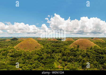 Collines de chocolat à Bohol, aux Philippines. Bohol est plus célèbre attraction touristique Banque D'Images