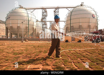 Un Chinois waters un champ à côté d'une usine de gaz liquide en eau profonde dans la toujours underconstruction Jailan port, une grande échelle de l'industrie portuaire globale zone, située à Zhuhai, une ville importante située sur la rivière des Perles dans le sud de la province chinoise du Guangdong le 26 octobre 2013. Jailan port est une configuration de poids lourds et de l'industrie chimique ont porté principalement sur la fabrication et de devenir une industrie pétrochimique et du carburant pour le déchargement de base et de raffinement. BP et Shell ont ouvert de vastes zones dans la zone portuaire. La sécurité des ressources, en particulier l'énergie, est devenue une priorité absolue pour la Chine et un potentiel thr Banque D'Images