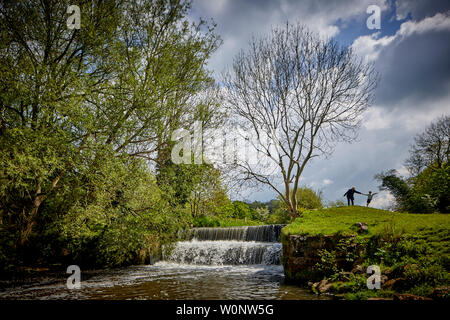 L'été, Bollin Valley Way, Wilmslow, Cheshire sentier récréatif l'observation du cours de la rivière Bollin Banque D'Images