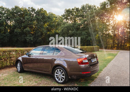 Ede, Pays-Bas - Aug 17, 2018 : voiture de luxe nouvelle Skoda Octavia pakred dans le parking vide du Parc National De Hoge Veluwe avec soleil flare Banque D'Images