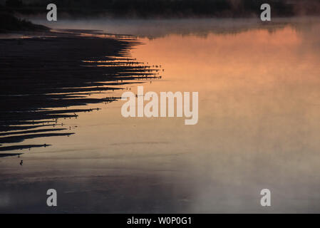 Nuit sur les rives de la rivière avec l'augmentation du brouillard et beaucoup d'oiseaux assis au bord de l'eau sur la rive. Banque D'Images