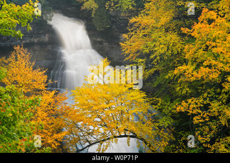 Matin d'automne réflexion de l'Hiawatha National Forest au lac Ackerman dans la Péninsule Supérieure du Michigan. Banque D'Images