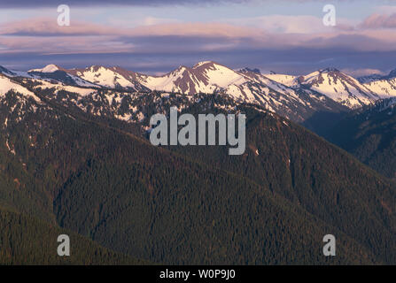 USA, Washington, Olympic National Park, printemps vue depuis l'Ouragan Ridge vers les vallées densément boisées et sommets des montagnes olympiques de l'est, Banque D'Images