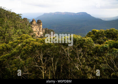 Deux des trois soeurs rock formation au sein de la forêt dans les montagnes bleues avec orange soleil dernier, Katoomba, New South Wales, Australie Banque D'Images