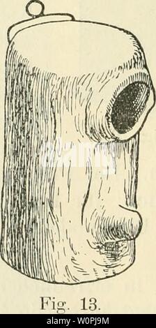 Image d'archive à partir de la page 71 de Der Ornithologische Beobachter (1902). Der Ornithologische Beobachter derornithologisc10hélas Année : 1902 welches eine der warmhaltende zementartige, Masse, leichte Stoffe beigemischt sind, gepresst wird. Durch einen hohlen nachgebilde Aststummel- dix, führt der lMnschhi|)f schief aufwärts Banque D'Images