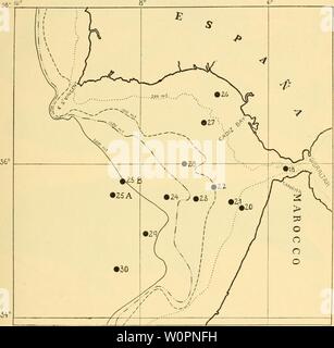 Image d'archive à partir de la page 98 de la profondeurs de l'océan. Les profondeurs de l'océan : un compte rendu général de la science moderne de l'océanographie fondée en grande partie sur la recherche scientifique de la vapeur norvégien Michael Sars dans l'Atlantique Nord depthsofoceangen00murr Année : 1912 LES CROISIÈRES DU 'MICHAEL SRAS ' 69 le long de ces rives au cours des dernières années. Qu'on nous avait donné à comprendre que nous pourrions compter sur la recherche de bonnes raisons de chalutage jusqu'à une profondeur de 250 brasses sur bon nombre des banques de la côte au large du Maroc, tels que l'étirement du cap Spartel à Casa Blanca, de Mogador à la baie à Agadir, et au sud de Banque D'Images