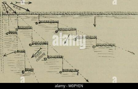 Image d'archive à partir de la page 174 du sein und der Blendersaumschlag Système. Der Blendersaumschlag derblendersaumsc système und sein00wagna Année : 1912 2. Chapitre. Modifi'/iereiuh . ? Dauernder frühzoitigo Momente Art. 157 Wegnah VerjüngungKHtreifeii int nie aus dem wjiiiit erwünselit Richtung jeder nach hin, damit die standfestenn Lichthölzer Holzarten, meint, zum Teil auch 8 chverfrü htig(;(Eichen), die sich leichter, ansamen Anflüge lK88er gedeihen und die alten Stämme ihren auch noch im großen WertszuwaJis auKimtzen Alter kön- nen. N'ijichthölzer fehlen, mag die Buche dans hxkcr xemplaren Ixkronten K. Banque D'Images