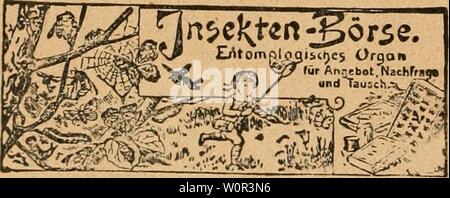 Image d'archive à partir de la page 227 de Der Ornithologische Beobachter (1902). Der Ornithologische Beobachter derornithologisc05hélas Année : 1902 Hochfeine Kanarien SÃ¤Priiiniort nger mit -()ldoii(M' .Medaille OriginalStamm IJpsto Das Seifert. a été es g'ibt. mit tiefen, Hei'vorrao'enden Hohlrollen. Hohlschockel. Hohiklingel. Knorre u. Du-Pfeifen tiefen. ¤ Ã 10. 12 : 15, 20 n. 25 Mk.. 3 Weibchen Mk. Harzer Edelroller, Tag :- u. Liehtsiinii'er. mit prÃ 2004-2005 ch- tigen, gebog Hohlrollen enen:, Hohl- klingeln. Hohlschockel. Bassknorren Gluckrollen,. 10 GÉNÉRALITÉS (FlÃ n. tief. Pfeifen. - D 6. 8. 10. 12 11. 15 Mk., par Dtzd. m. T Banque D'Images