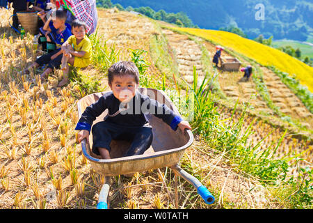 MU CANG CHAI, VIETNAM - nov. 22, 2018 : l'enfant assis dans un panier. Les enfants dans cette région souvent profiter de moments sur les terrasses de riz de mûrir avec parent Banque D'Images