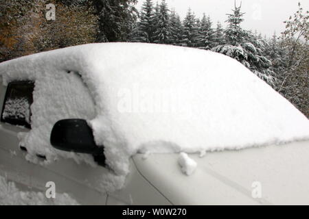 Erste Winterimpressionen aus dem Hochschwarzwald. Dans den Hochlagen des Schwarzwaldes hielt am Wochenende (Sonntag) der Winter Einzug. Während die von der Autofahrer Pracht ueberrascht weißer bär und hatten die Kinder und Wintersportler im ersten Schnee ihren Spass. Fuer eine Schneeballschlacht reichte der Neuschnee allemal. Banque D'Images