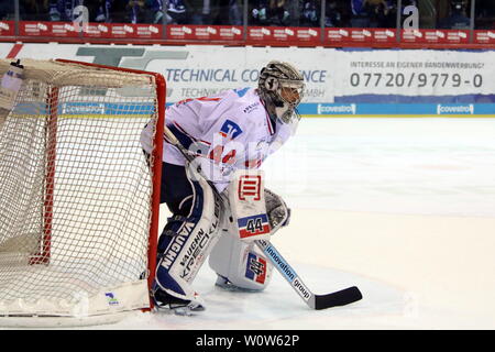 Dennis Endras (Adler Mannheim), 22. Sptg. DEL 18-19 : SERC Wildwings vs. Adler Mannheim Banque D'Images