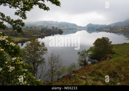 Une vue sur le Lough de Looscaunagh la tête du lac sur l'Anneau du Kerry dans le Parc National de Killarney en Irlande, sur l'image Banque D'Images