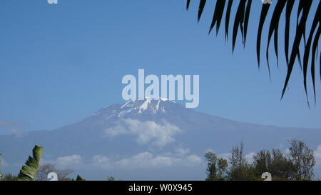 Sommets majestueux Mont Kilimanjaro en Tanzanie Encadré par des feuilles de palmier et d'arbres sous un ciel bleu Banque D'Images