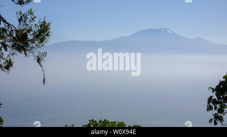 Sommets majestueux Mont Kilimanjaro en Tanzanie Encadré par des feuilles de palmier et d'arbres sous un ciel bleu Banque D'Images