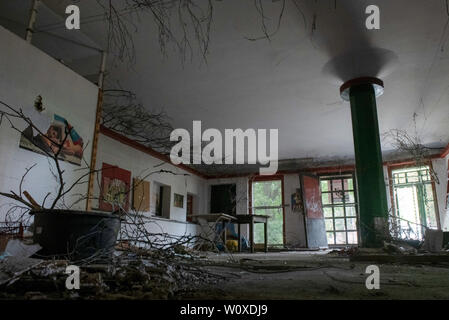 Berlin, Allemagne. 28 Juin, 2019. Branches, les décombres et les affiches peuvent être vues dans le foyer de la gare désaffectée Siemensstadt. Dans le cadre de la rénovation de l'ancienne Siemensbahn, le bâtiment sera également réparé. Des représentants de la Deutsche Bahn et les politiciens ont signé un accord de financement correspondant. Crédit : Paul Zinken/dpa/Alamy Live News Banque D'Images