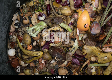 Gaspillage alimentaire dans les bac à compost de jardin. UK Banque D'Images